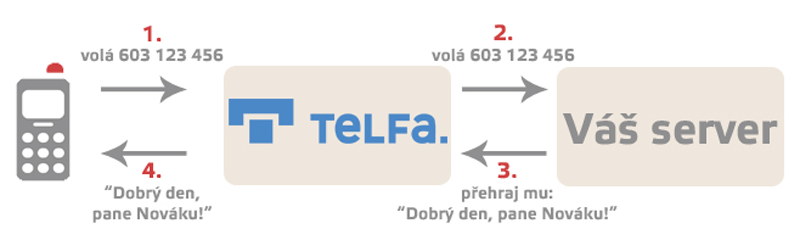 Api